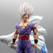 Figurine Dragon Ball Z - Beast Gohan-MANGA SHOP-Manga Shop